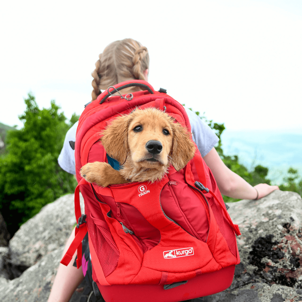 best dog backpack for cycling